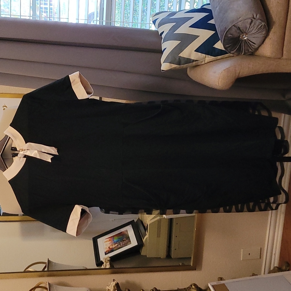 Classic fifties straight line pencil dress.
